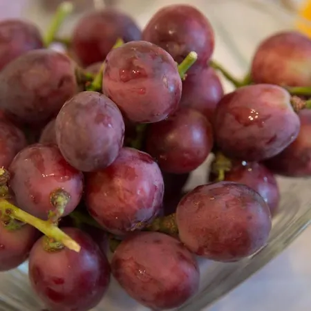 Casa Do Outeiro Sobradelo da Goma