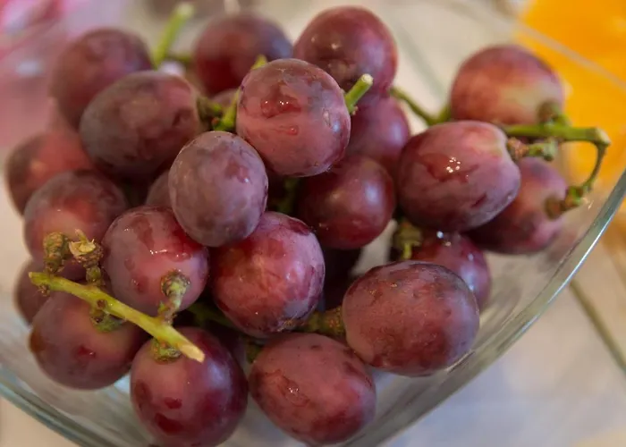 Casa Do Outeiro Sobradelo da Goma